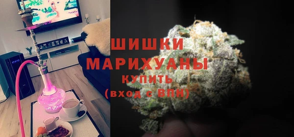 ПСИЛОЦИБИНОВЫЕ ГРИБЫ Галич