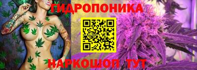 герыч Боровичи