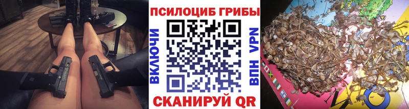 Галлюциногенные грибы Psilocybine cubensis  Заинск 