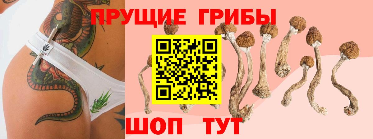 Галлюциногенные грибы Cubensis  Вход с VPN  Заинск  Галлюциногенные грибы Psilocybine cubensis 